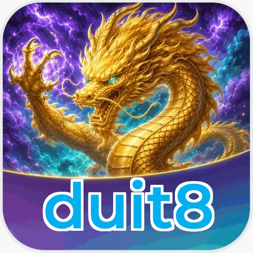 Logo duit8