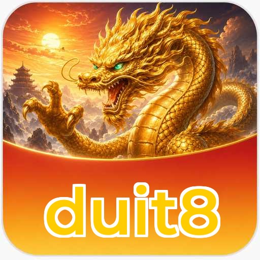 Logo duit8